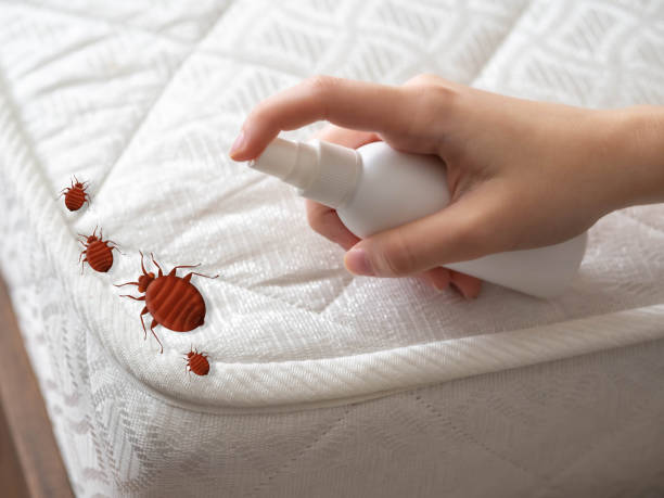 Best Pest Control Treatment  in Cataula, GA