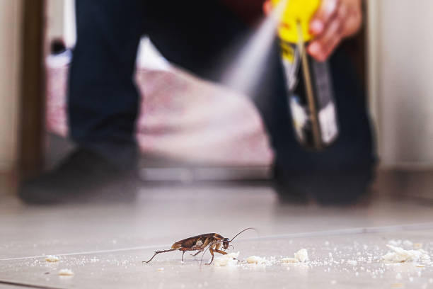 Best Cockroach Control Services  in Cataula, GA