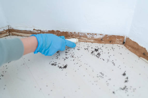 Best Pest Prevention Services  in Cataula, GA