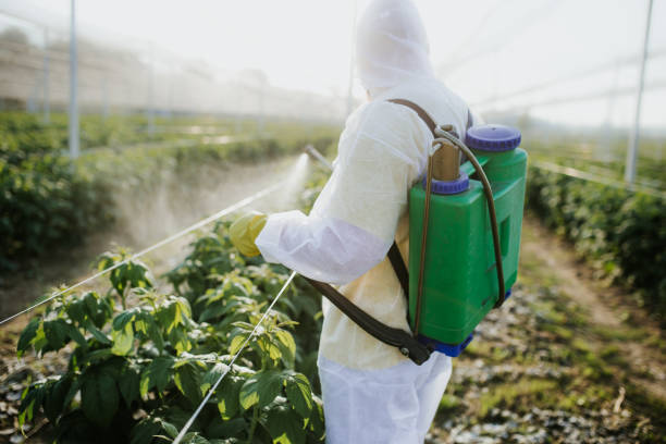 Best Mosquito Control Services  in Cataula, GA